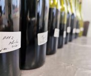Dégustation d'assemblages au Domaine Georges Lombrière, Chateauneuf du Pape Bouteilles utilisées lors d'une dégustation d'assemblages, Domaine Georges Lombrière, Chateauneuf du Pape
