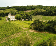 Création d’un vignoble autour du Château Le Devay, Saint Romain en Gal Création d’un vignoble autour du Château Le Devay, Saint Romain en Gal
