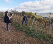 Interview de Pierre-Jean Villa sur l’agroécologie Pierre-Jean Villa dans ses vignes lors d'une interview sur l’agroécologie
