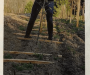 Pierre-Jean Villa présente les avantages de la plantation en vitiforesterie Article de journal dans lequel Pierre-Jean Villa présente les avantages de la plantation en vitiforesterie